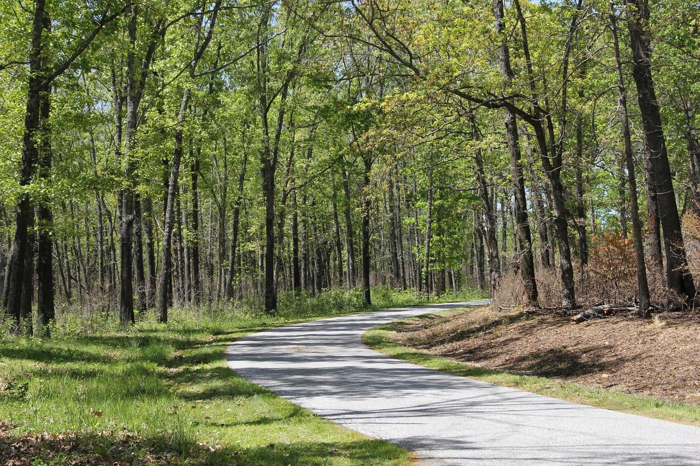 Garfield, AR